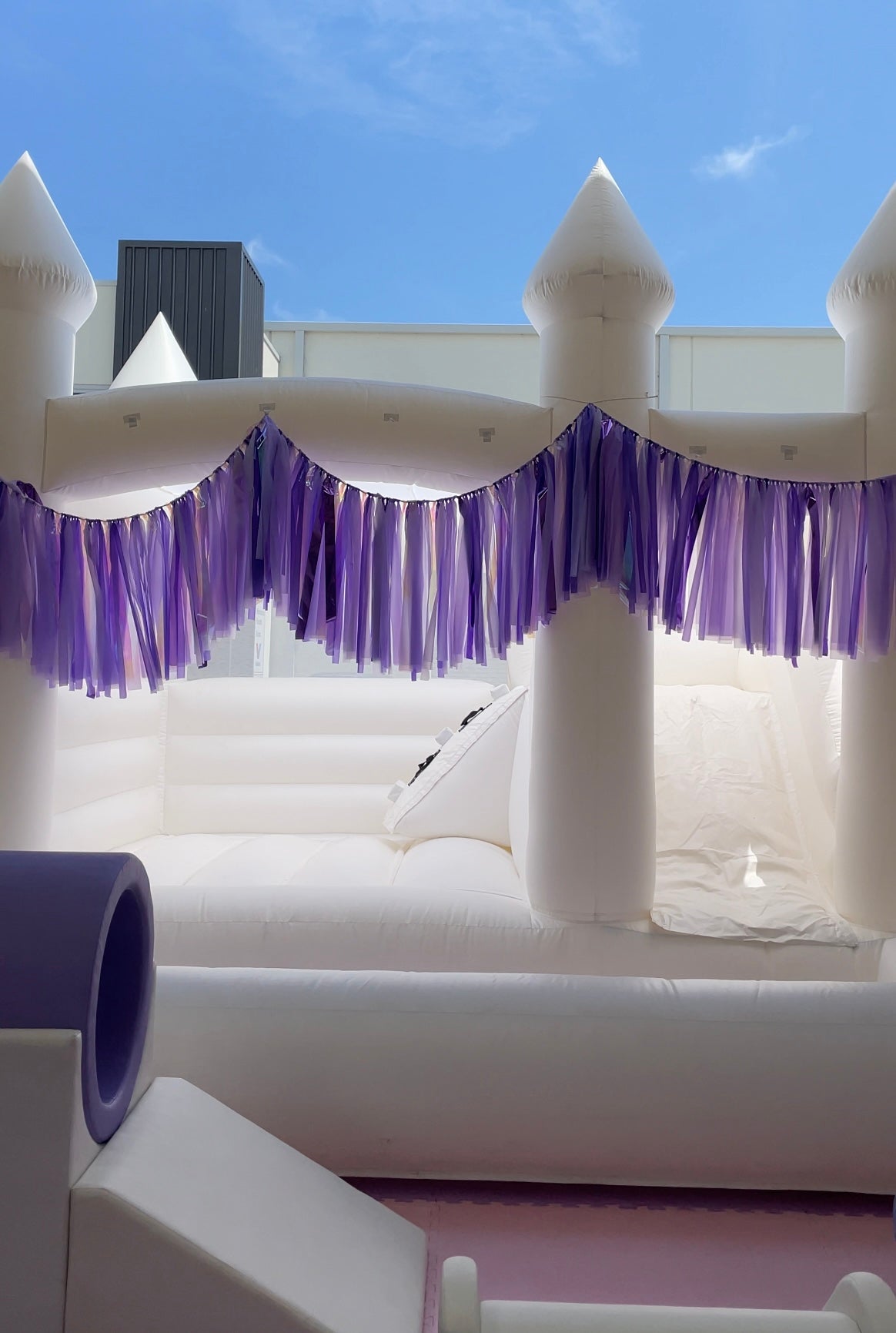 4 Metre Purple & Iridescent Tassel Garland