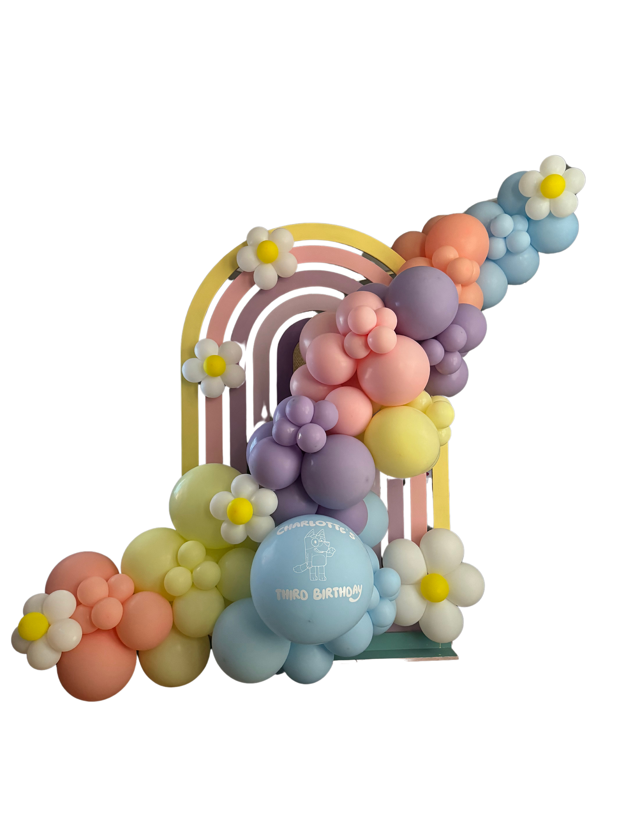 Single Arch Backdrop & Balloon Garland & Decal Package