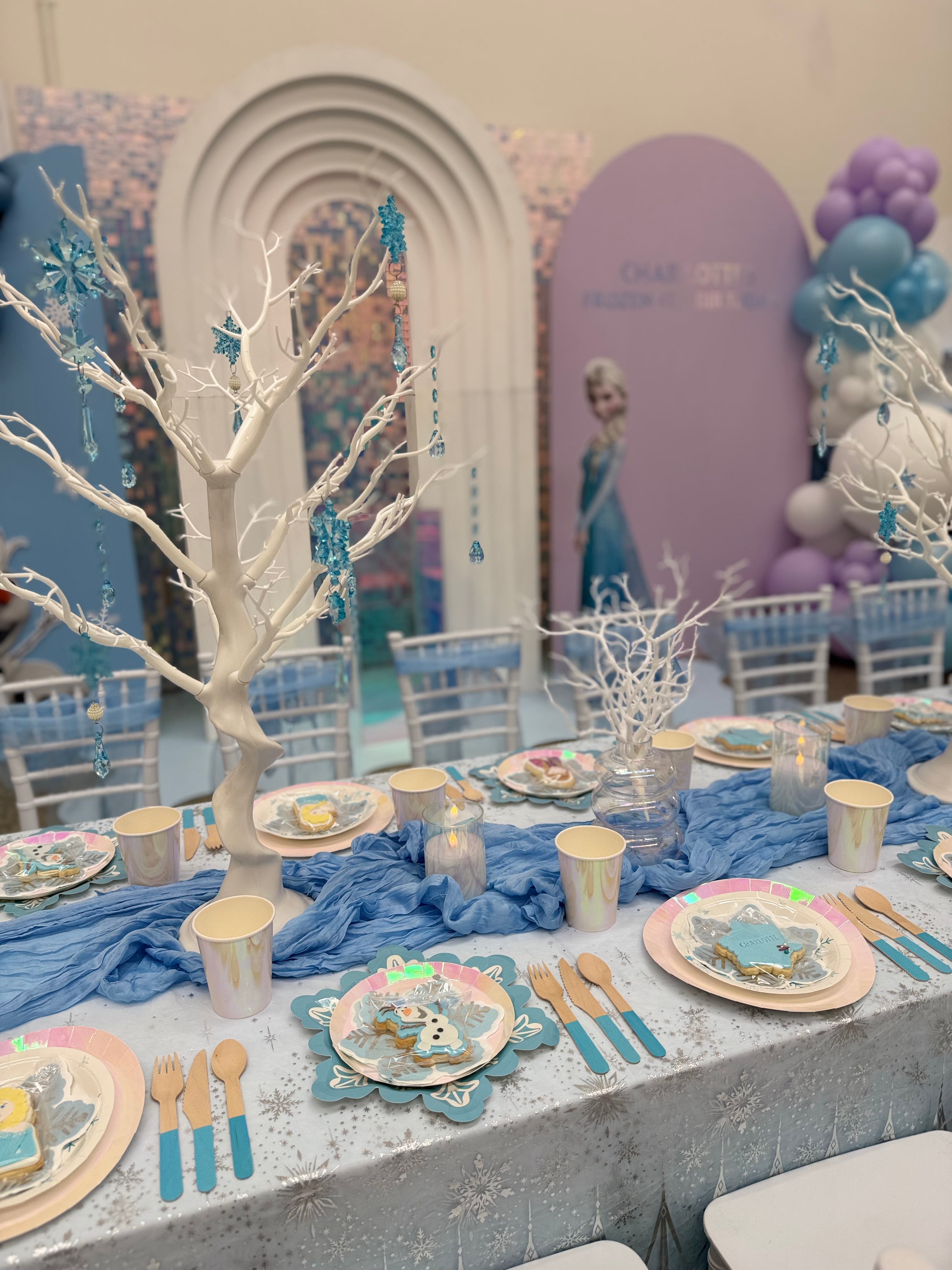 Complete Party Packages